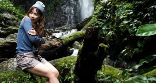 best jungle trekking in indonesia - Best Jungle Trekking Indonesia