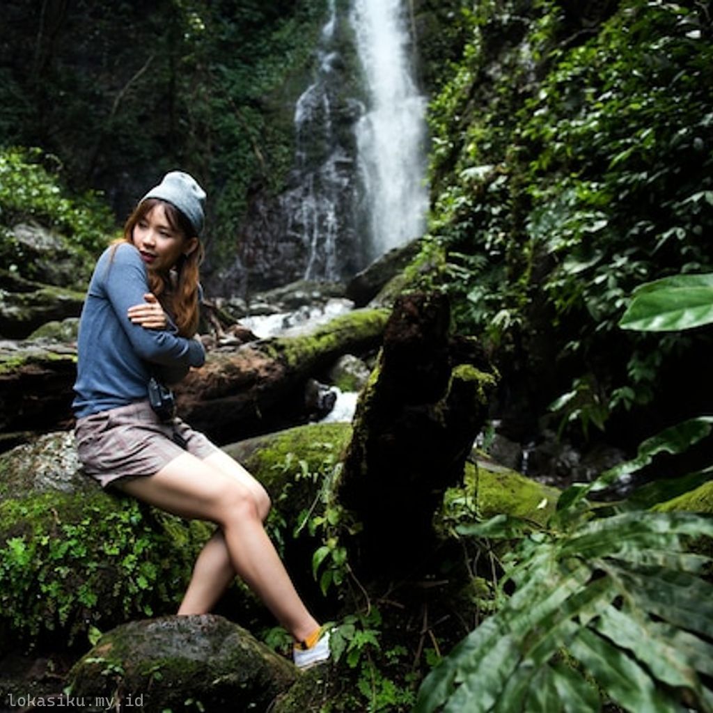 best jungle trekking in indonesia - Best Jungle Trekking Indonesia